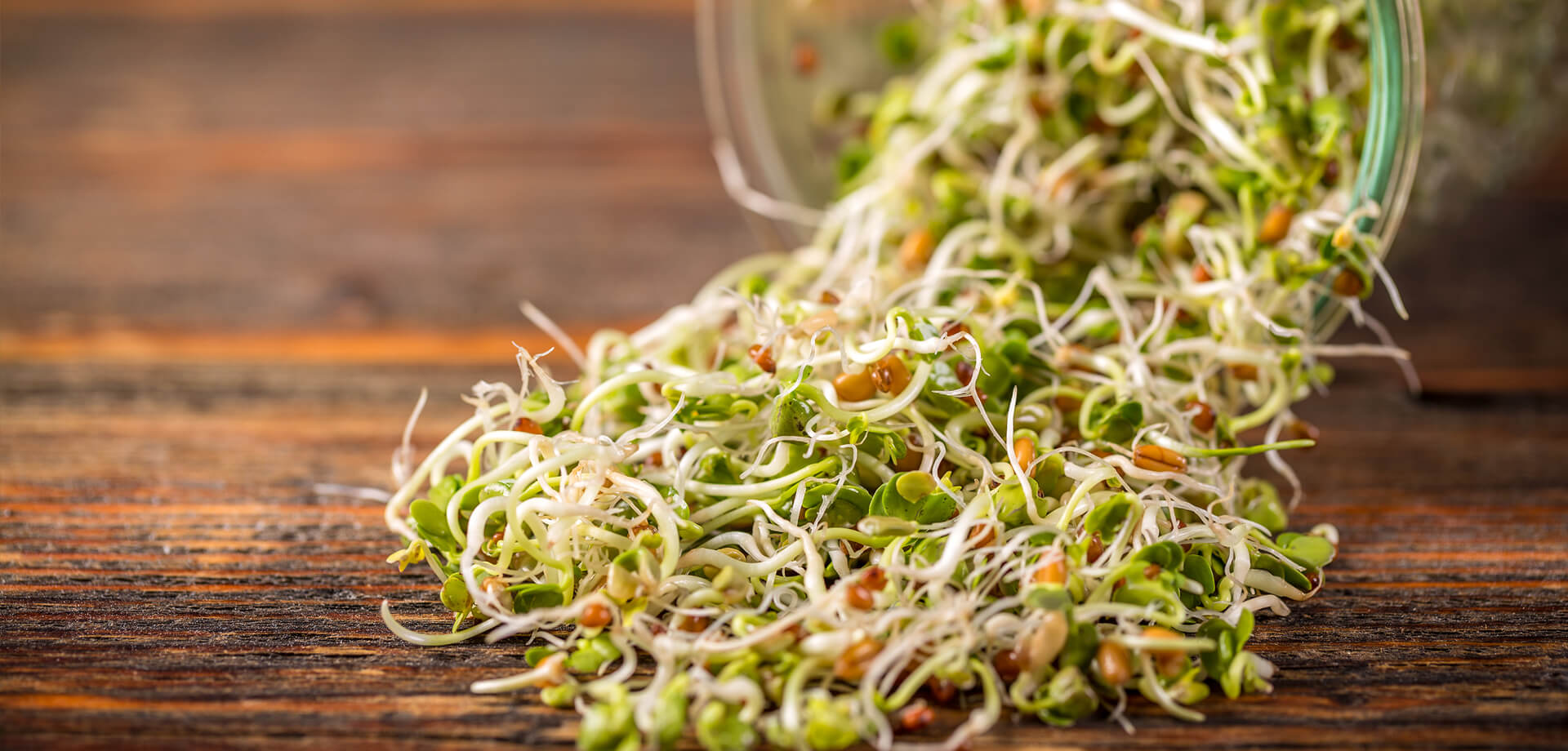 Sprouts for health